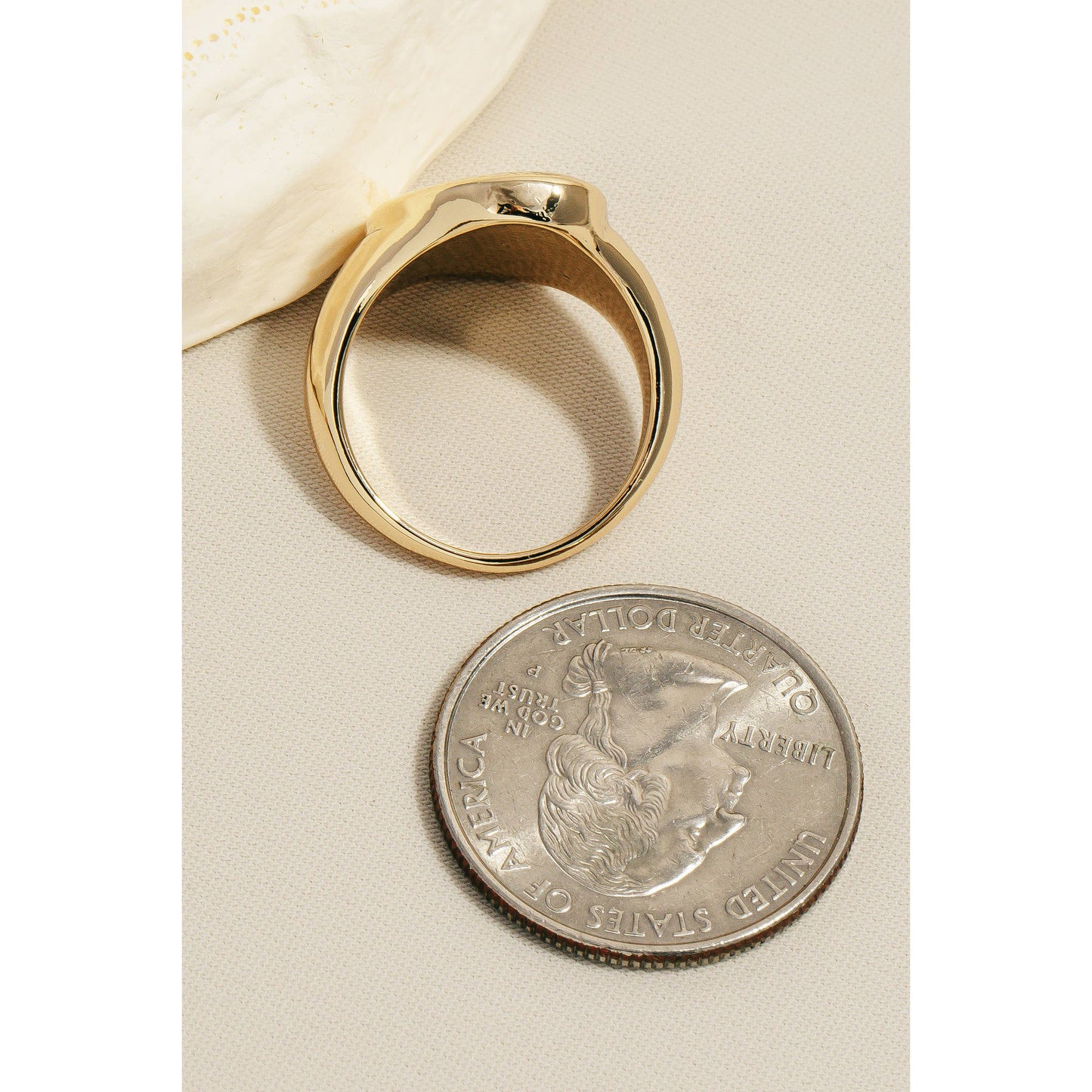 Textured Metallic Signet Band Ring: Rhodium